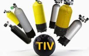 Journée TIV