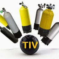 Journée TIV